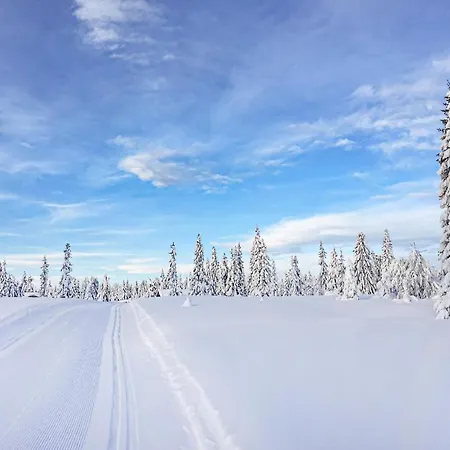 Stunning In With Sauna Vakantiehuis